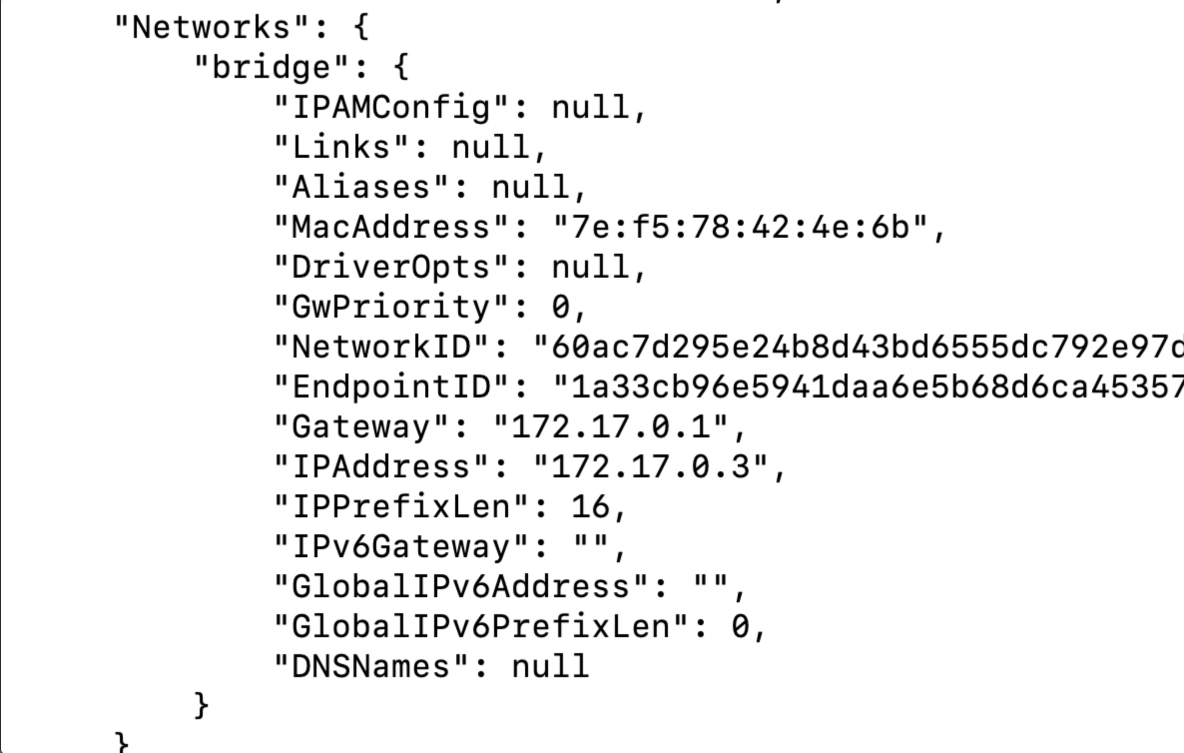 Docker 容器网络信息
